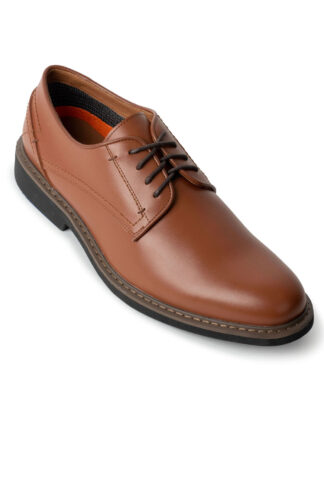 Chestnut Shoe